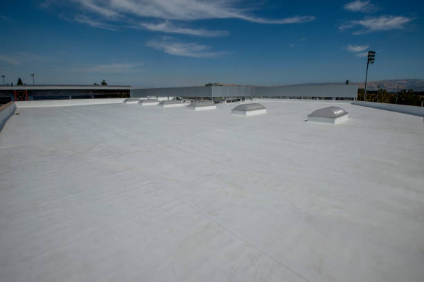 Best Roof Ventilation Installation  in Edmore, MI