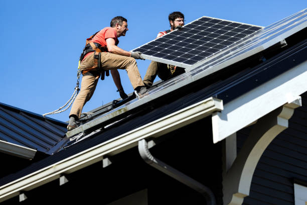 Best Roof Moss and Algae Removal  in Edmore, MI