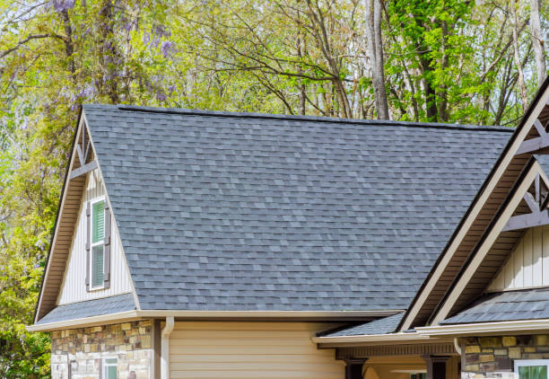 Best Rubber Roofing (EPDM, TPO)  in Edmore, MI