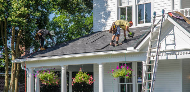Best Sheet Metal Roofing  in Edmore, MI